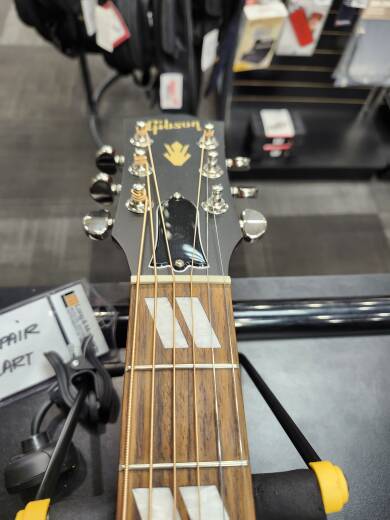 Store Special Product - Gibson - MCSSHBSPCVCS